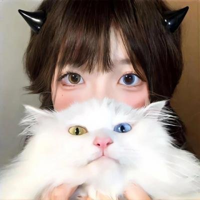 灵异妙探2：莱斯归来